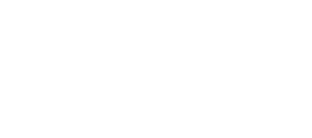 Virtuo